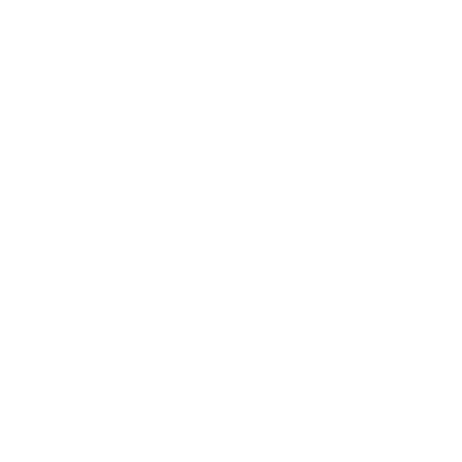 Project Hope Alliance logo